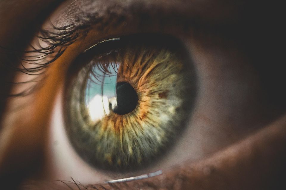 Human Eye Close-up The Brain Processes Images In as Little as 13 Milliseconds