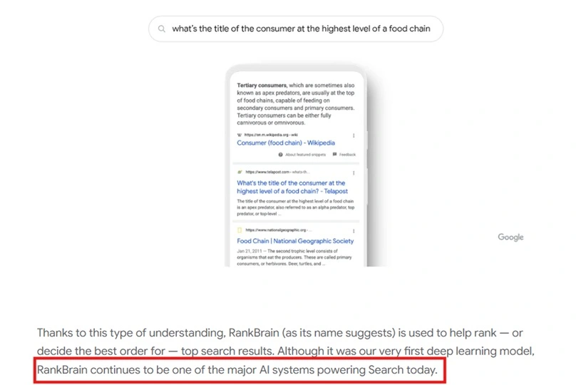 Google Still Use RankBrain Algorithm